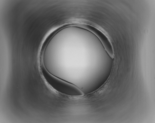 X0000112201152200908071238