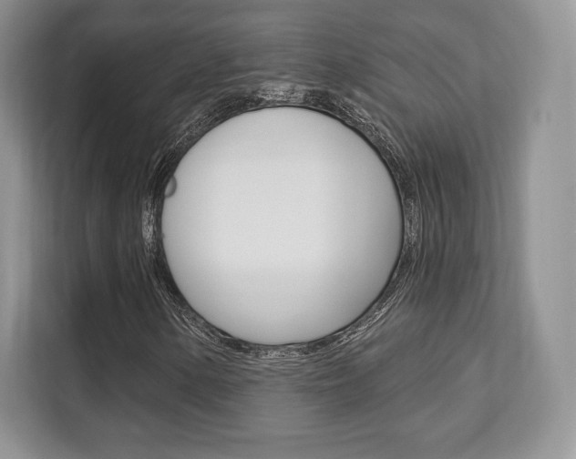 X0000112201154200908071237