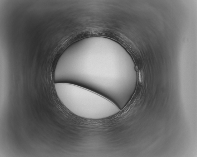 X0000112201155200908071237