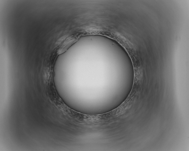 X0000112201157200908071237