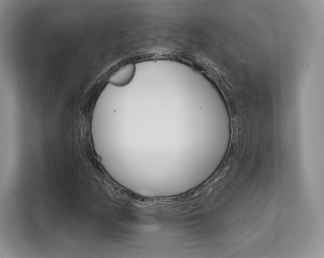 X0000112201158200908071237