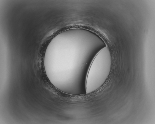 X0000112201159200908071237