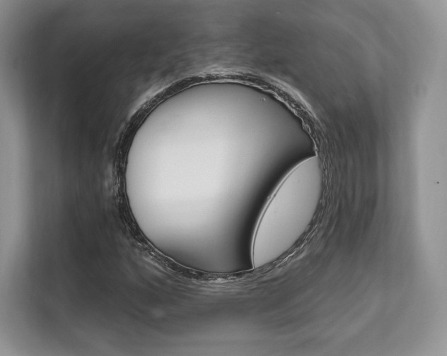 X0000112201160200908071237