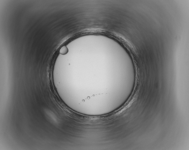 X0000112201162200908071237