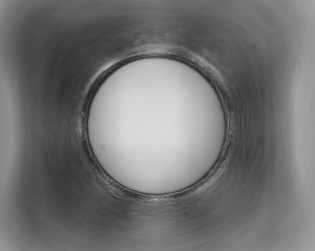 X0000112201166200908071237