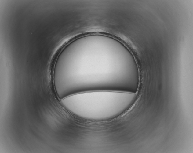 X0000112201167200908071237