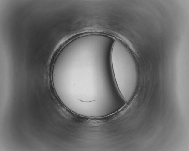 X0000112201168200908071237