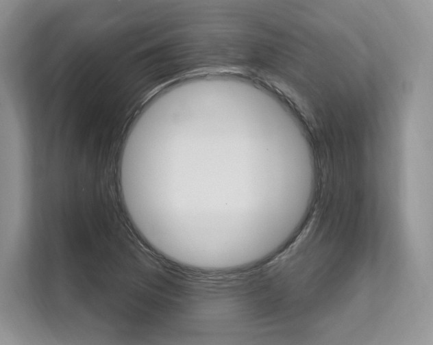 X0000112201169200908071237