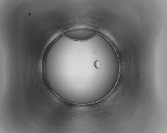 X0000112201173200908071237