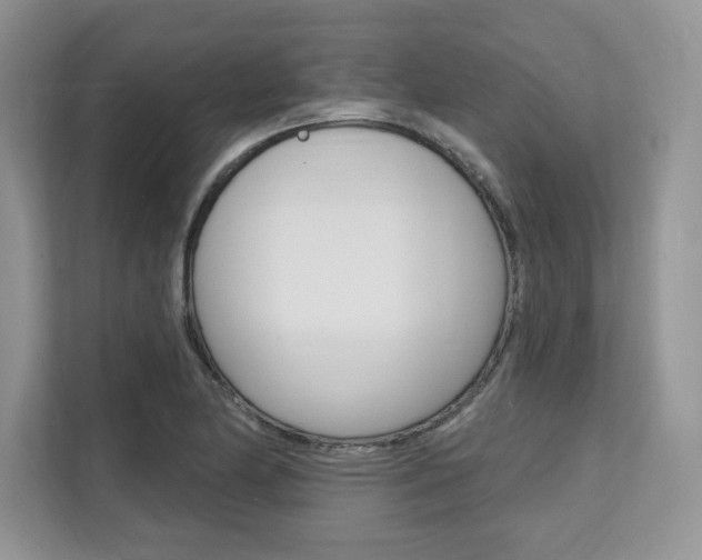 X0000112201174200908071237