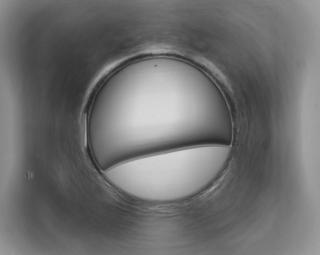 X0000112201175200908071237