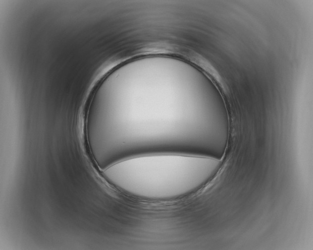 X0000112201179200908071237