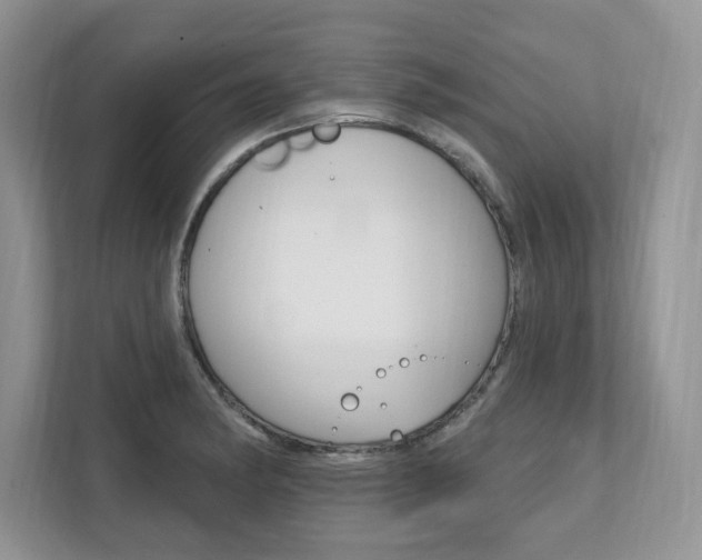 X0000112201182200908071237