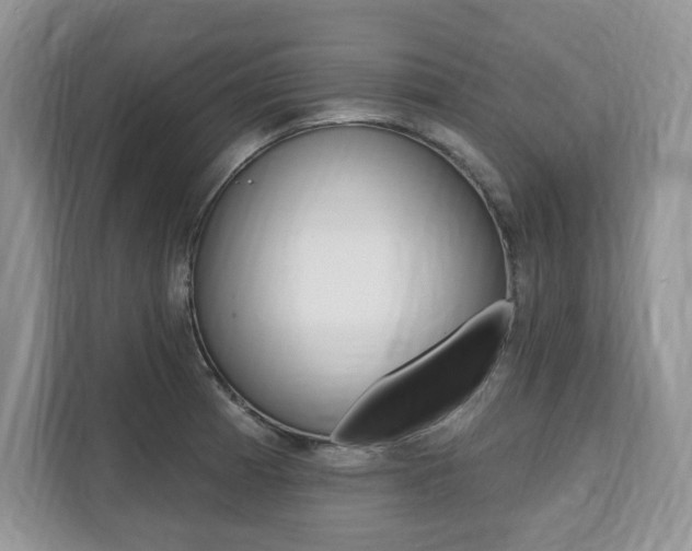 X0000112201185200908071237