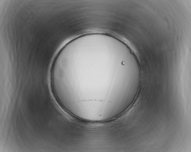 X0000112201187200908071237