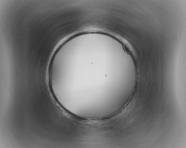 X0000112201191200908071237