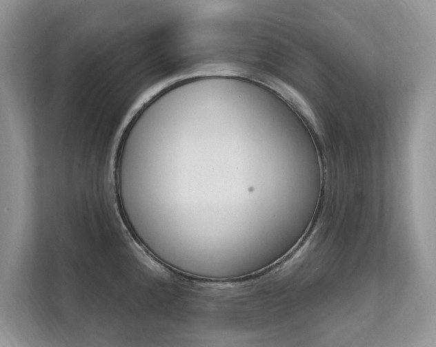 X0000112201192200908071237