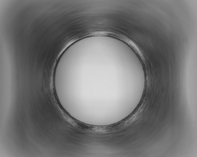 X0000112201194200908071237