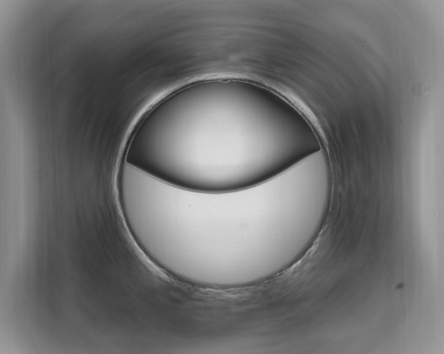 X0000112201197200908071237