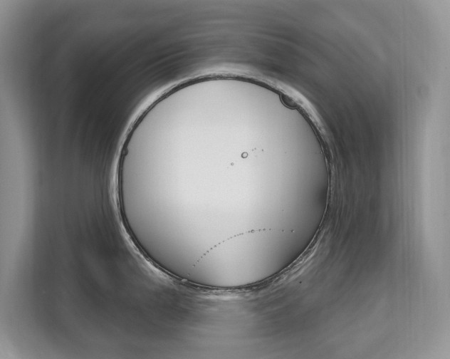 X0000112201199200908071237