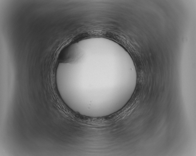 X0000112201201200908071236