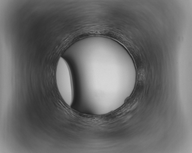X0000112201202200908071236