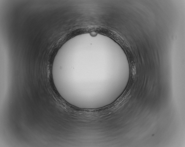X0000112201204200908071236