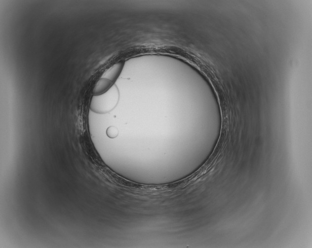 X0000112201205200908071236