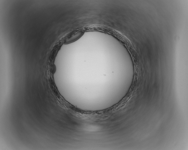 X0000112201207200908071236