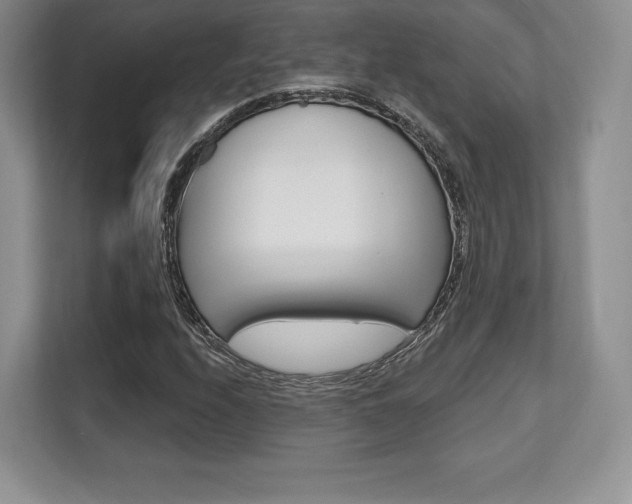 X0000112201208200908071236