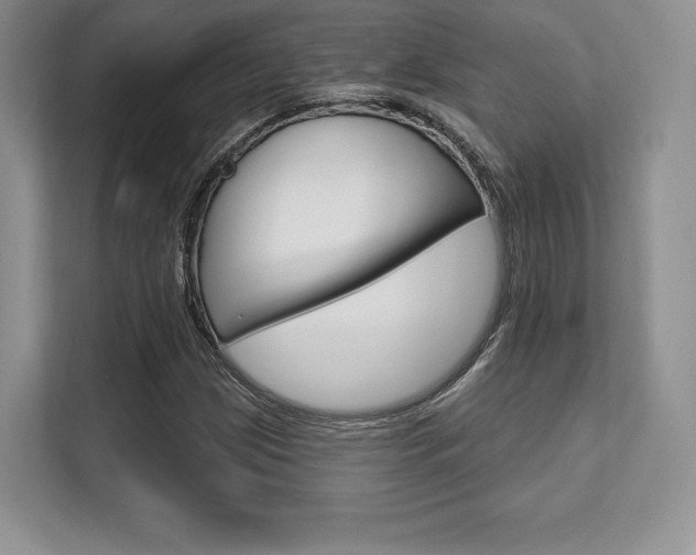 X0000112201209200908071236