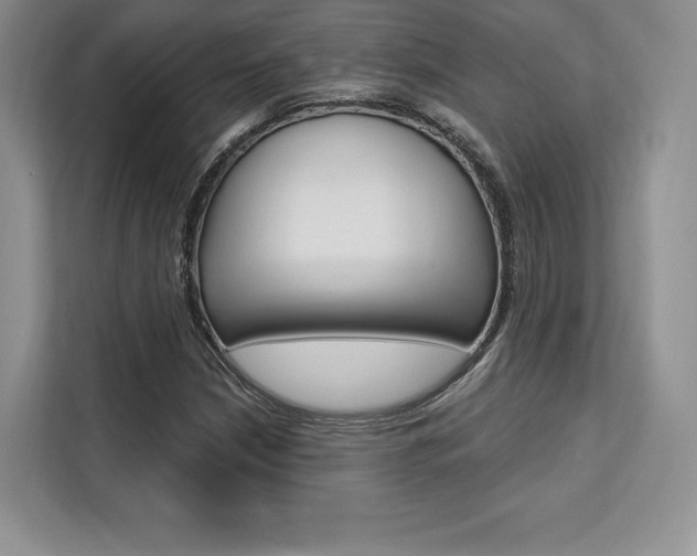 X0000112201210200908071236