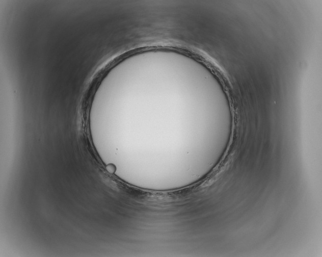 X0000112201215200908071236