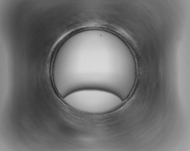 X0000112201216200908071236