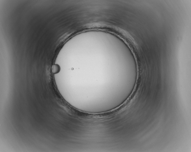 X0000112201217200908071236
