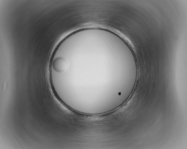 X0000112201239200908071236