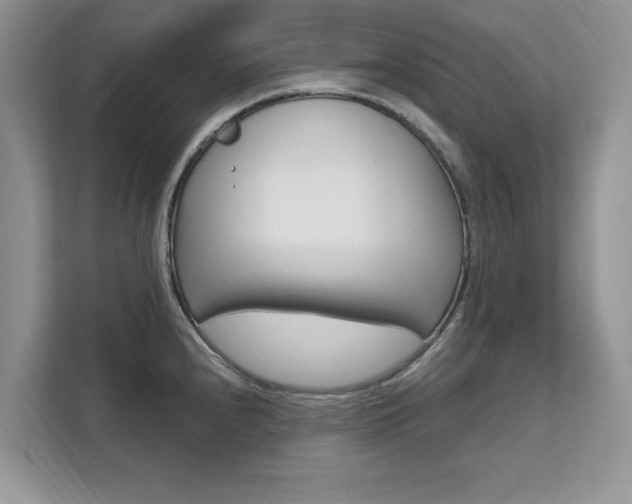X0000112201240200908071236