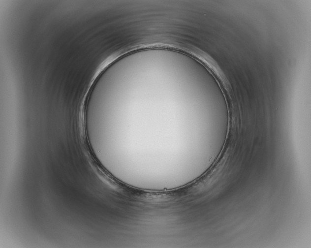 X0000112201242200908071236