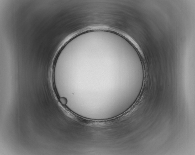 X0000112201245200908071236