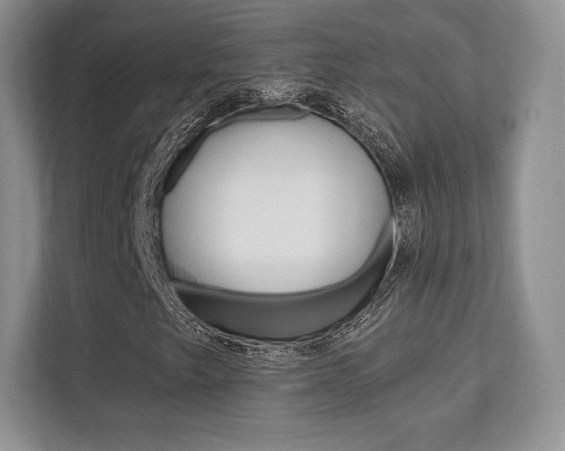 X0000112201249200908071236