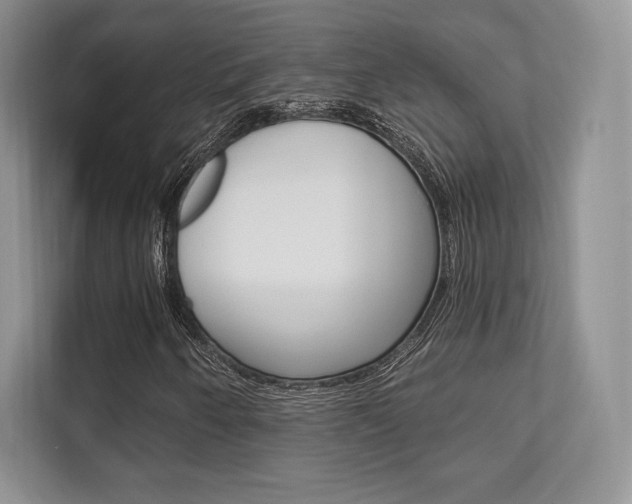 X0000112201250200908071236
