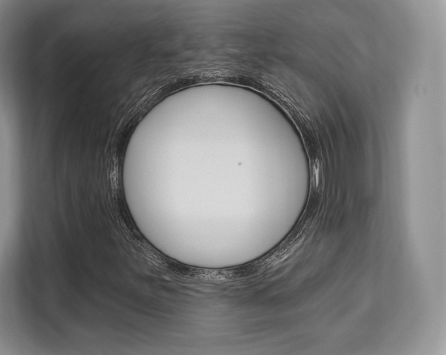 X0000112201251200908071236