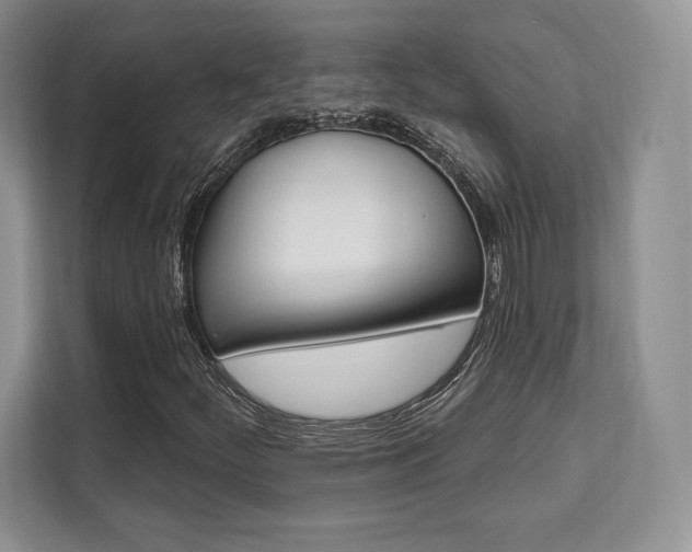 X0000112201252200908071236
