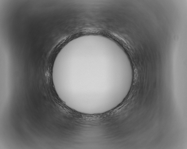 X0000112201254200908071236