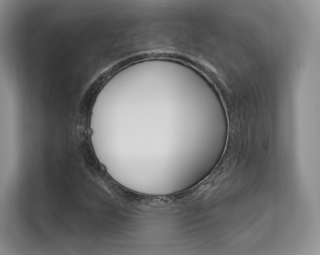 X0000112201255200908071236