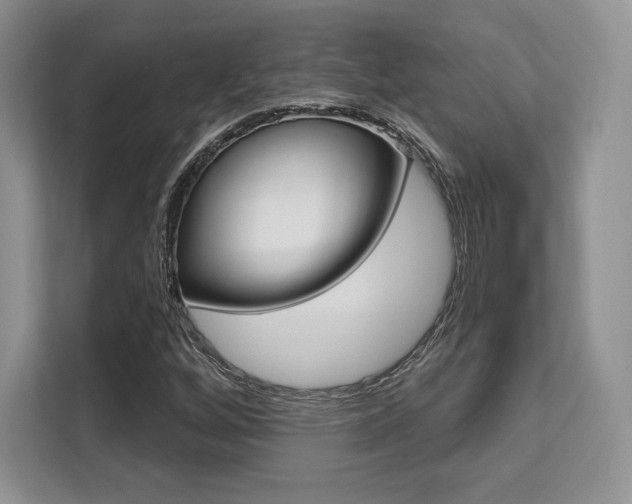 X0000112201256200908071236