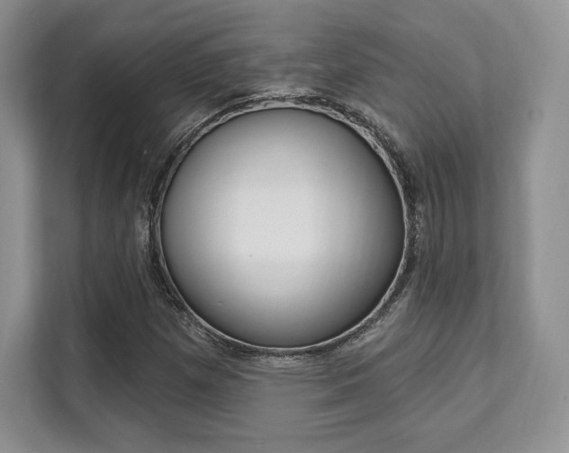 X0000112201257200908071236