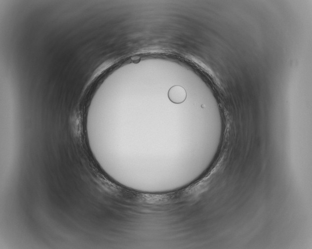 X0000112201258200908071236