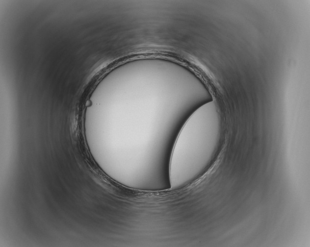 X0000112201259200908071236