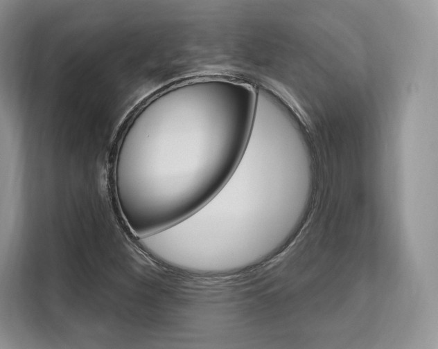 X0000112201260200908071236